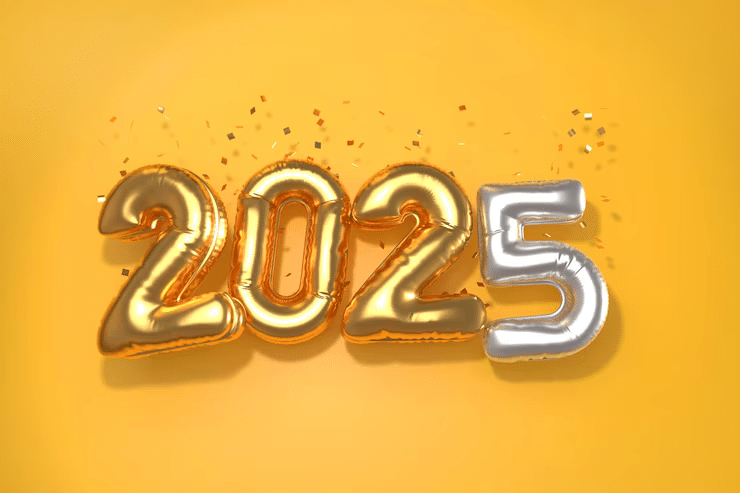 quem nasceu em 2008 tem quantos anos em 2025